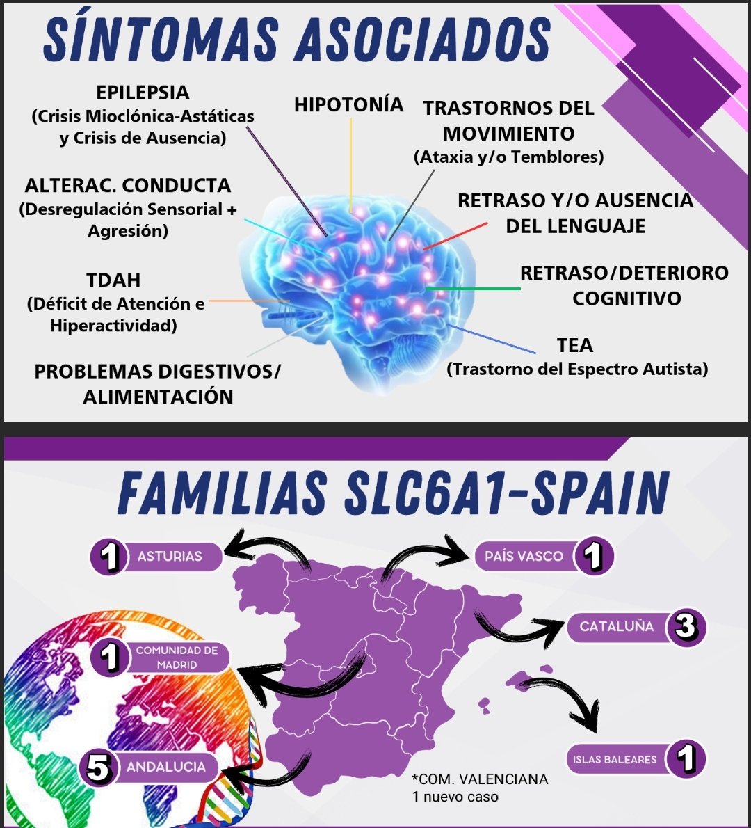 Imagen de la publicación «Buscamos dar visibilidad a SLC6A1»