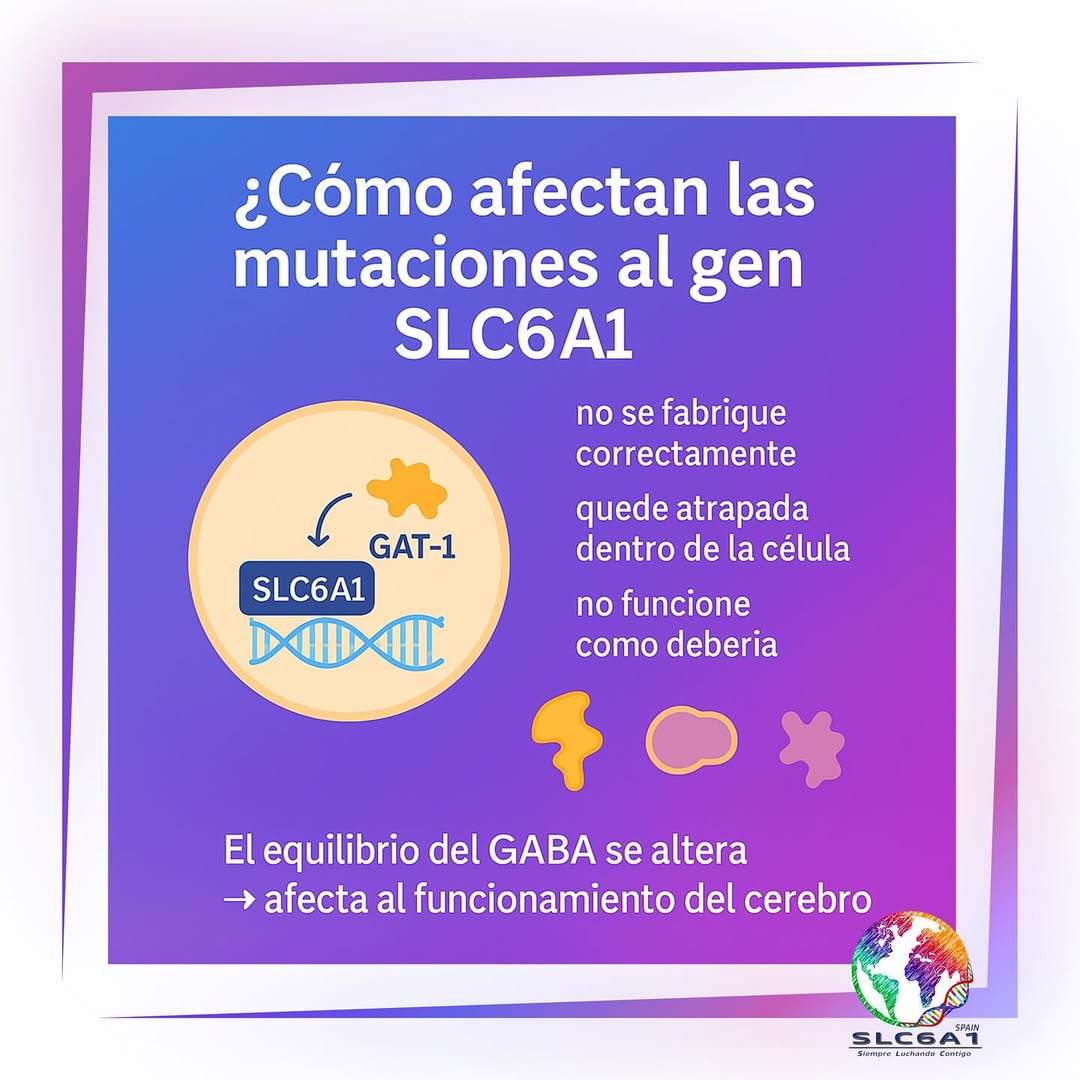 Ilustración educativa sobre el ADN, el gen SLC6A1, la proteína GAT-1 y el neurotransmisor GABA