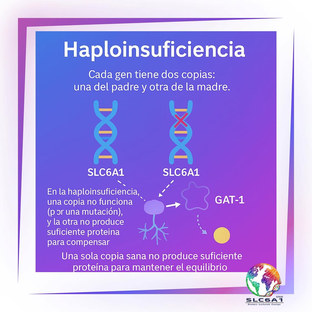 Ilustración educativa sobre el ADN, el gen SLC6A1, la proteína GAT-1 y el neurotransmisor GABA